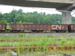 CN135479